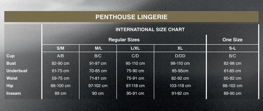Комплект Penthouse Smoking Gun XL Black, топ-бюстьє, колготки з доступом, імітація пояса для панчіх SO6450 фото