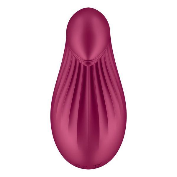 Вібратор Satisfyer Dipping Delight Berry, 2 мотори, гнучкий кінчик SO6990 фото