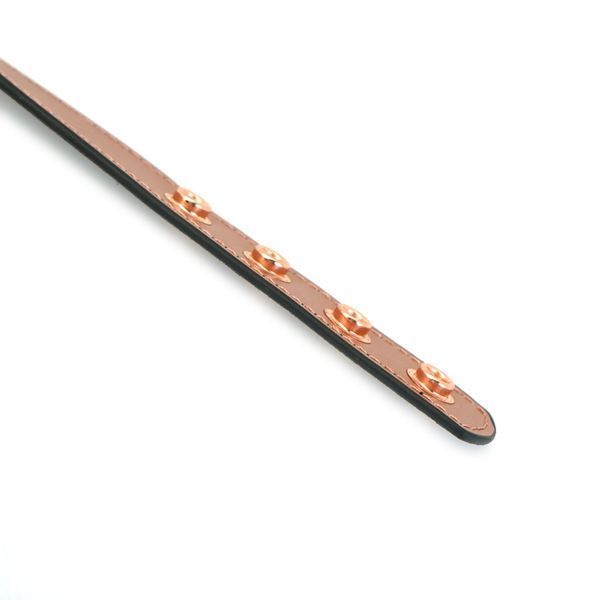 Нашийник із затискачами для сосків Liebe Seele Rose Gold Memory Collar with Nipple Clamps, шкіра SO9495 фото