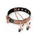 Нашийник із затискачами для сосків Liebe Seele Rose Gold Memory Collar with Nipple Clamps, шкіра SO9495 фото 1