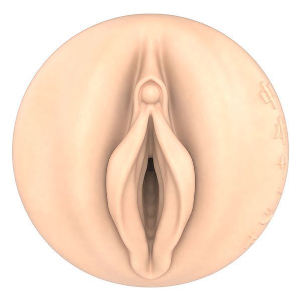 Мастурбатор Fleshlight Fantasy Sasha Nakamoto Ecchi SX1318 фото